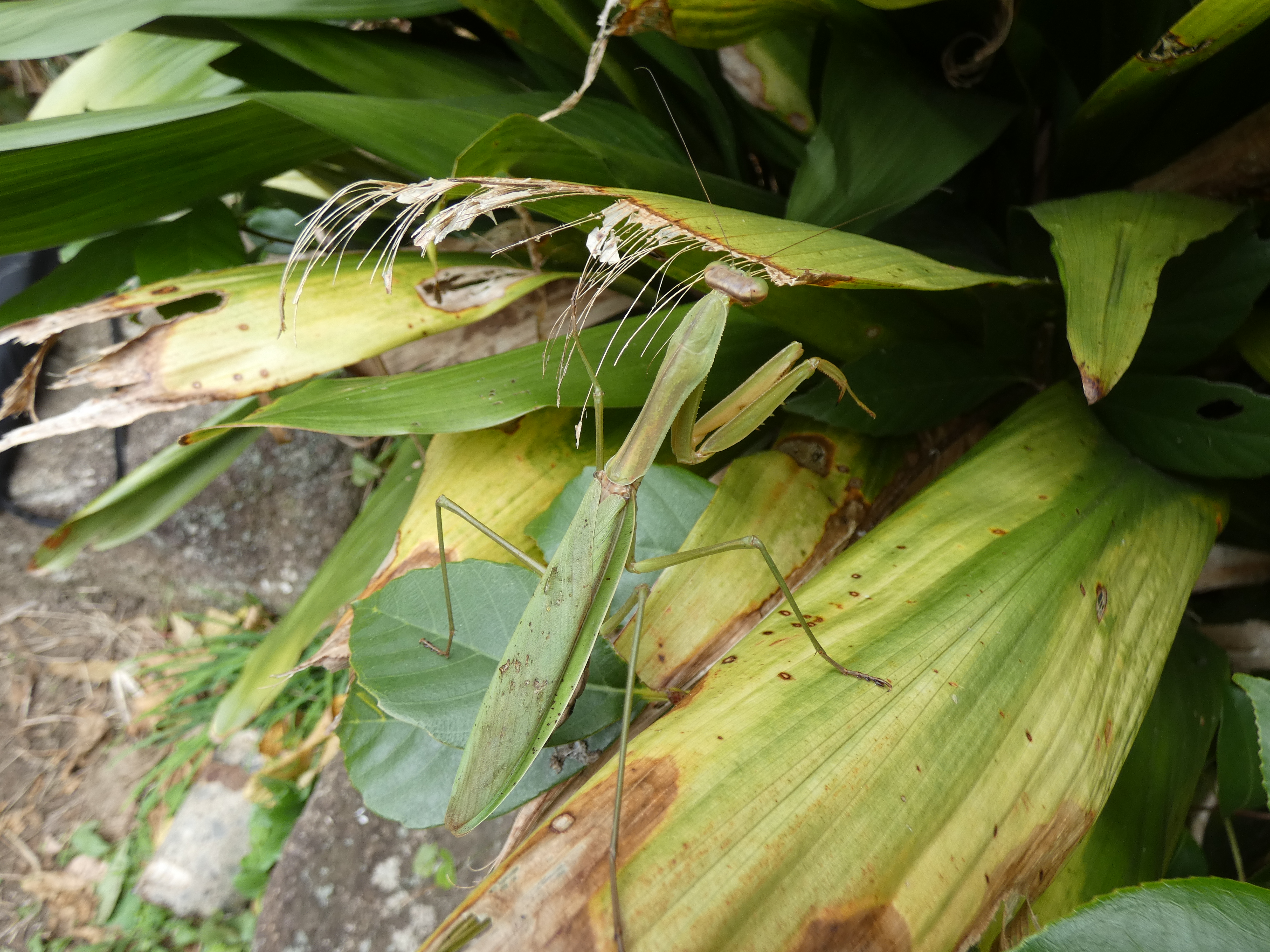 photo_13